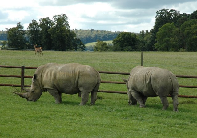 Safari Parks In England