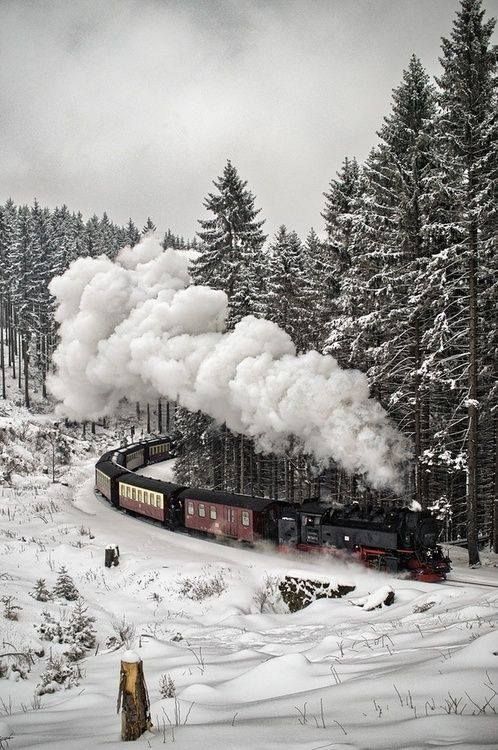 Snow Train in the Black Forest, Germany